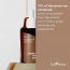 Isntree: Green Tea Fresh Serum - 50ml