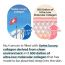 Numbuzin: Collagen - 73% Pudding Serum - 50 ml
