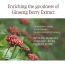 Pyunkang Yul: Black Tea Boosting Serum - 45ml