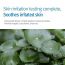 Pyunkang Yul: Kids & Baby Sun Cream SPF 50+ - 75ml