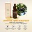 Jumiso: All Day VC-IP - 1.0 Firming Serum - 30ml