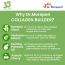 Dr. Morepen: Natural Collagen Builder | Plant Based Collagen Powder | Orange Berry Flavour - 250g