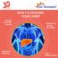 Dr. Morepen: Milk Thistle+  -  Liver Support Supplement - 60 Capsules