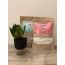 BCOS Foods: Multi Millet & Jowar Flour Mix Combo - 500gm each
