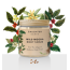 Daughter Earth: Wild Mocha Body Scrub - 100gm