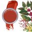 Daughter Earth: 100% Vegan Super Antioxidant Lip & Cheek Tint- Terra Rouge (Nude Red) - 4.5gm