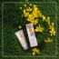 Plum: Plum Chamomile & White Tea Dew DayCream