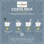 Greenbrrew: Instant Green Coffee - Garcinia Cambogia - 20 Sachets