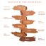 BindtBeauty: Barely There Cream Concealer Honey - 5gm