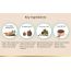 LYEF Wellness: Gut Restore Capsule - 60 Capsules