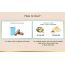 LYEF Wellness: Gut Restore Capsule - 60 Capsules