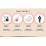LYEF Wellness: Acid Balance Capsule - 60 Capsules
