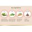 LYEF Wellness: Acid Balance Capsule - 60 Capsules