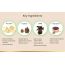 LYEF Wellness: Meta Re-Balance Capsule - 60 Capsules