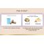 LYEF Wellness: Sugar Regulate Capsule - 60 Capsules