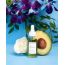 Earth Harbour: Aurora Superfood Luminance Ampoule - 30ml