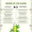 Colorbar: Vita Hemp Restoring & Balancing Night Oil - 20ml