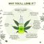 Colorbar: Vita Hemp Restoring & Balancing Milk Serum - 20ml