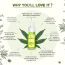 Colorbar: Vita Hemp Restoring & Balancing Night Oil - 20ml