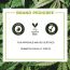 Colorbar: Vita Hemp Restoring & Balancing Body Oil - 100ml