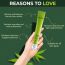 Colorbar: Vita Hemp Restoring & Balancing Anti-Acne Spot Gel - 20gm