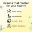 The Co Being: Green Matters Tablet - 60 Tablets