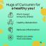 The Co Being: Curcumin & Ginger Gummies - 60 Gummies