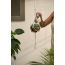 Thenga: Coconut Shell Planter with Macrame Hanger