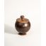 Thenga: Coconut Shell Container with Lid & Small Spoon