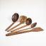 Thenga: Traditional Coconut Shell & Wood Cooking Set
