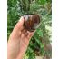 Thenga: Coconut Eco-Friendly Wine Glass - Set of 2
