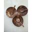 Thenga: Bowl Serving Set with Spoons - Pack of 3