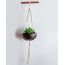 Thenga: Coconut Shell Planter with Macrame Hanger