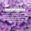 Love Beauty And Planet: Rice Water & Angelica Seed Oil Silicone Free Leave-in Conditioner - 200ml
