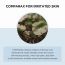 SKIN1004: Madagascar Centella Hyalu-Cica First Ampoule  | Calming Care | Sensitive Skin | Hydrating | Glow Boost | 100ml
