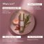 SEE LOVE: Calm & Repair Night Cream - 50ml