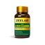 ZEELAB: Adeliv Liver Cleanse Capsule - 100 Capsules