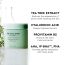 The Face Shop: Tea Tree Toner Pads - 150ml