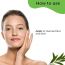 Pilgrim: Tea Tree Light Non-Oily Moisturizer - 80gm