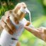 Coco Soul: Body Lotion , With Coconut & Ayurveda , Paraben & Mineral Oil Free - 200ml