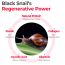 SOME BY MI: Snail True Cica Miracle Repair Serum | 50ml