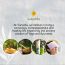 Sarveda: Crescent Zafu Meditation & Yoga Cushion - Texture