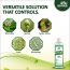 ZYAX: Neem Oil Concentrate - 250ml