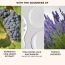 SKOG: Bordeaux Vine Grape Extract Bodywash- 200ml