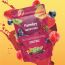 Farmley: Berry Mix Farmley Standee Pouch 200 g