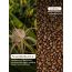 LuxaDerme: Under Eye Revive Bio Cellulose Mask (Set of 5)