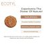 Ecotyl: Vetiver Scrubber (Natural Loofah) - Set of 3