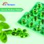 Dr. Morepen: Pudina Gels for Acidity, Indigestion & Gas Relief, Pack of 10 Strips - 10 Digestive Softgels Each