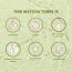 The Skin Diet Company: Matcha Toner - 100ml