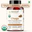Rooted Active Naturals: Siberian Chaga mushroom Extract  (60 Caps, 500 mg)...